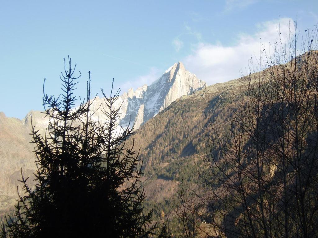 Studio Les Drus / Studio Du Brevent Σαμονί Δωμάτιο φωτογραφία