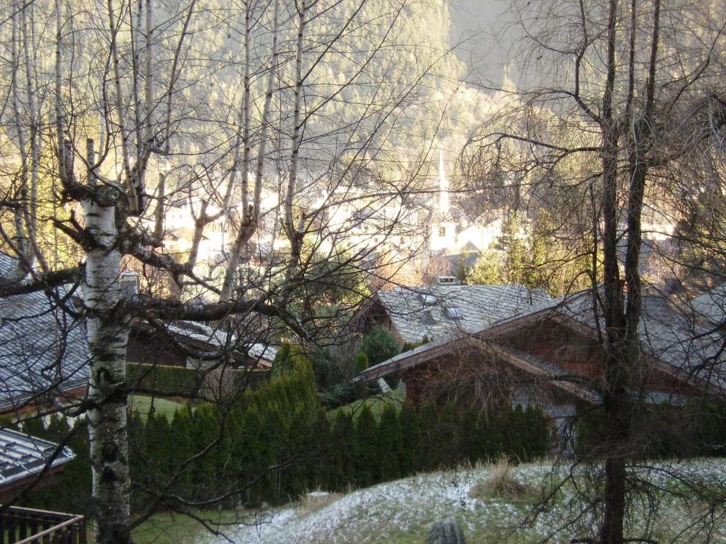 Studio Les Drus / Studio Du Brevent Σαμονί Δωμάτιο φωτογραφία