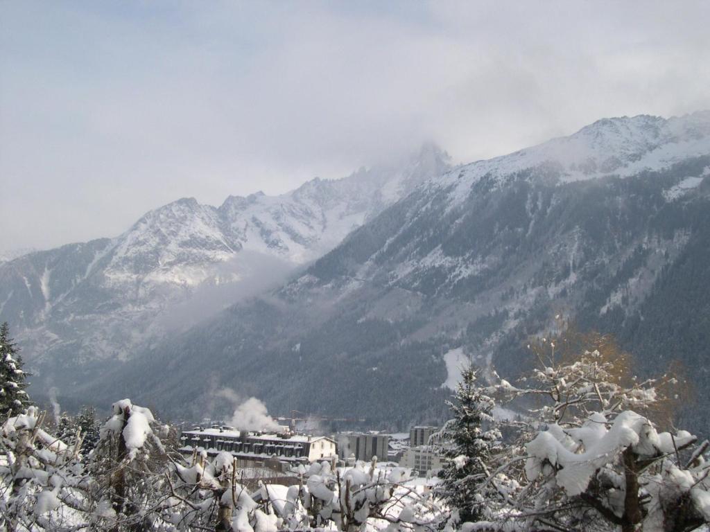 Studio Les Drus / Studio Du Brevent Σαμονί Δωμάτιο φωτογραφία